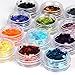 Fashion Gallery 12 Big Hexagon Glitter Nail Art Deco Kit Acrylic UV Powder Dust Deco Stamp