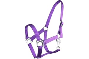 ARBO-INOX® Halfter mit Schiebeschnalle Stallhalfter Basic (Mini Shetty, lila)