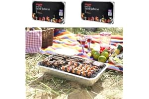 Holland Plastics Original Brand 2 X FAMILY SIZE INSTANT DISPOSABLE BBQ- EACH PACK COOKS FOR TEN!
