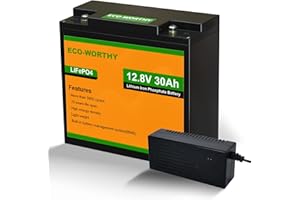 ECO-WORTHY LiFePO4 akumulator 12 V 30 Ah z ładowarką LiFePO4 A, bateria litowa 12 V z ponad 3000 cyklami głębokich i ochroną BMS do silnika trollingu, wózka inwalidzkiego, instalacji solarnej,