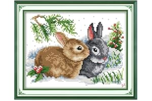 Stitchmelody Stamped Cross Stitch Kits,11CT Printed Pattern Embroidery Kit DIY Home Décor-Lucky Rabbits 33cm×24cm
