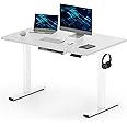 FLEXISPOT ONE PIECE Electric Standing Desk Height Adjustable Sit Stand Up Desk with Memory Smart Panel (White Frame+120x60cm White Desktop)
