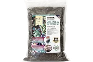 UK GROW Premium 3L Cactus and Succulent focus potting mix seramis added peat free perfect for optimum cacti and succulent growth (3L)