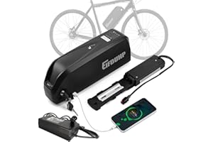 EIFDUHP Batteria Ebike 48V 20AH, Batteria Litio Bici Elettrica per 1500W 1000W 750W 500W 350W 250W Motore Bicicletta, con Porta USB, Caricabatterie, Piastra Base 5 Pin e Cella Grado A
