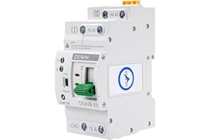 DEWIN Interruptor de Transferencia,2P 63A AC 220V Interruptor de Transferencia Automática ATS Conmutador de Transferencia Automática de Doble Potencia DEW2R-63