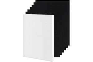 LOHILL 115115 Air Filter for Winix ZERO Air Purifier P300 (AZBU330-HWB), H13 True HEPA & Activated Carbon Replacement Filter A (1 HEPA Filter + 6 Carbon Pre-Filters)
