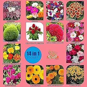 Kraft Seeds Flower Garden Series 14 Varieties in 1 Flower Seeds Pack
