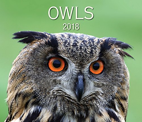 Owls 2018 Calendar