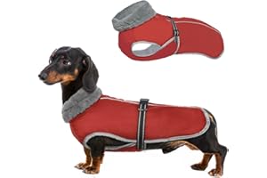 MHAUSTLIE Cappotto Cani Invernale,Impermeabile cappottino caloroso per cane per cani di taglia media e grande,Giacca invernale per cani con fibbia regolabile