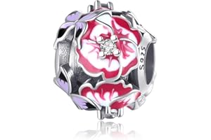 Jokmeo Ciondolo charm in argento 925 puro, compatibile con bracciali e collari della marca Pandora e di stile europeo. Adatto a donne e ragazze.Y1