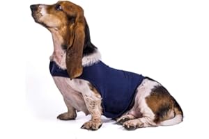 SOBOTOO Dog Anxiety Jacket Lightweight Wrap Anxiety Coat Instant Therapy for Anxious Dogs Over Excitement Stress Relief Shirt Warm and Soft Calming Vest for Pets (L, Blue)
