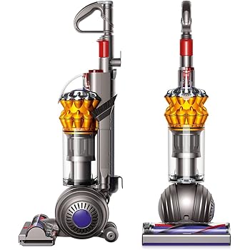 dyson dc24 weight