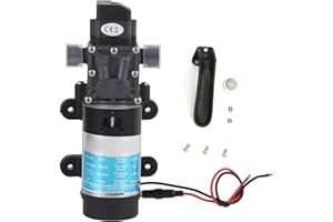 HYUDUO Bomba de Agua Eléctrica 12V/24V 120W 10L/m 130m Bomba de Diafragma Autocebante de Elevación Máxima para Lavadora de Alta Presión (24 V 3210YD-24-120FS)
