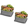SIGNORA WARE Freezer Fresh Small Steel Container 600Ml+600Ml, (Set Of 2),Black