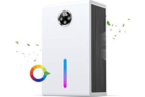 Olubfdh Deumidificatore elettrico da 2800 ml, deumidificatore elettrico con purificazione dell'aria, spegnimento automatico, modalità sleep, con display digitale, deumidificatore in modalità sleep