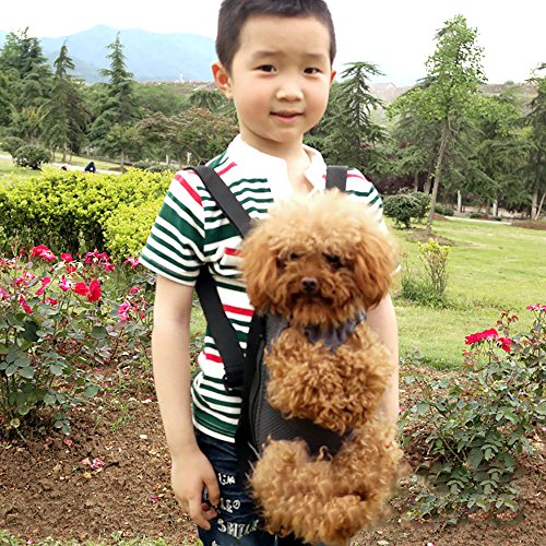 puppy kangaroo pouch