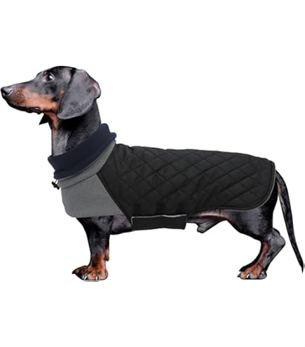 Produktbild von Fashion Dog Hunde-Regenmantel Mit Fleecefutter - Braun, 0,01