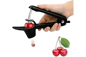 LSYZHX Cherry and Olive Pitter Tool - Fruit Stone Remover (Black)