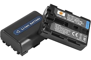 DSTE ELECTRON DSTE 2pcs NP-FM50 NP-FM55H Batería de repuesto para cámaras Sony CCD-TR108, CCD-TR208, CCD-TR748, CCD-TRV106, CCD-TRV107, CCD, DCR-PC105, DCR-PC110