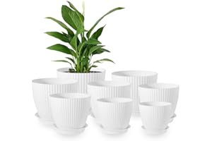 Homeuouz 8 Packs Blumentopf mit Untersetzer, 19/17.5/16.5/16/14/13/11.5/10cm Pflanzentopf, Plastik Übertopf, Hydrokultur Topf, Blumentöpfe Set Ideal für Innen und Balkongärten,Weiß
