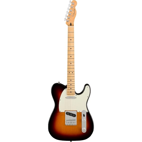Fender Electric Guitar Player Plus Telecaster Maple 3-Color 