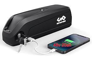 DICHOU 48V 20Ah Ebike Battery (Lg4800mAH Cells) Hailong Down Tube Lithium Battery Pack for 1500W 1000W 750W 500W 350W 250W Electric Bicycle Motor