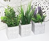 3er SET Kunstpflanze Pflanzen Lavendel und Gras mit Topf --...