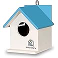BIRDSHALA Bird House for Sparrow, Budgies & Finches with Air Ventilation and Mounting Hook (Blue, Medium)