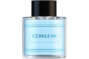 TOWONSHY Compatible avec BJ-577&BJ-579 – Diffuseur Voiture, Recharge de Parfum Auto – Parfum Français 50 ml – Jusqu’à 6 Mois d’Utilisation – Extraits de Plantes Naturelles (Océann)