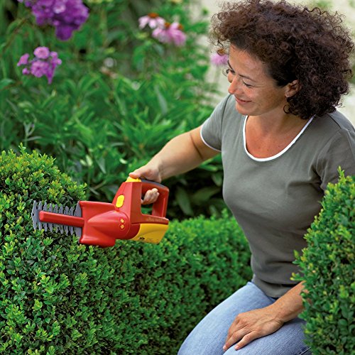 WOLF-Garten LI-ION POWER BS80+10EM; 7087887 - 3