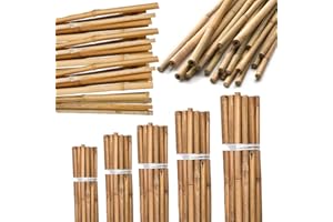 ALLURE HOME STYLE LETS BEGAN YOUR JOURNEY WITH US AHS Strong Heavy Duty Bamboo Canes - Natural 2FT Gardening Cane - Professional Thick Garden Canes - Indoor Outdoor Plants Support Stakes - Large Wooden Stake Trellis Pole (10, 2FT (60cm))