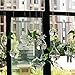 Produktbild NOHOPE Kreative Lampe/Liebe geformt - transparent aufhängen Hydroponics Glas Vase Home Decor künstliche Blumenvase Ornament, EIN