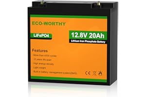 ECO-WORTHY LiFePO4 Batterie au lithium 12 V 20 Ah avec protection BMS 12 V 20 Ah pour moteurs de trolling, bateaux, fauteuils roulants électriques, caravanes