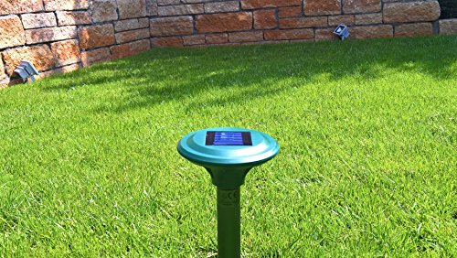 ISOTRONIC Solar Maulwurfabwehr Vibrasonic 2er Set mit Vibrationsmotor solarbetrieben Wühlmausfrei Wühlmausschreck Wühlmausvertreiber Wühltierfrei Maulwurfschreck Schlangenabwehr - 3