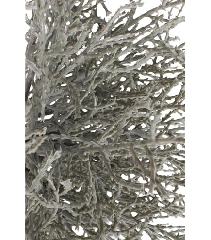 Amazon.de: artplants.de Kunstpflanze Stacheldraht Pflanze VALTON, wei,  25cm,  25cm - Deko Pflanze