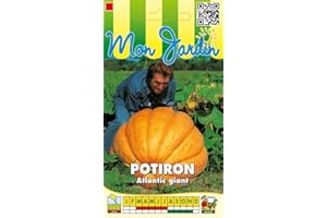 Sachet de graines de Potiron Atlantic Giant - 5 g - légume fruit - LES GRAINES BOCQUET