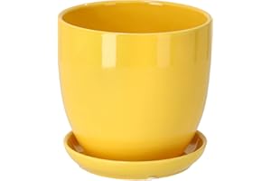 KOTARBAU® Macetero con Plato de Ceramica esmaltada, 20 cm, Maceta para Interiores y Exteriores, Tiesto Decorativo para Plantas, Amarilla con Plato y Orificio de Drenaje