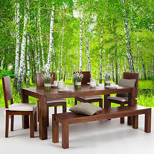 Vlies Fototapete PREMIUM PLUS Wand Foto Tapete Wand Bild Vliestapete – SUNNY BIRCH FOREST – Birkenwald Bäume Wald Sonne Birkenhain Birke Birken Gras Natur Baum – no. 112, Größe:300x210cm Vlies - 9