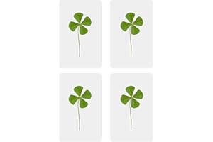 PANDIUI23 Trébol de 4 Hojas Natural Plastificado | Amuleto de la Suerte y la Fortuna | Regalo Original de la Buena Suerte: Tréboles Secos de Cuatro Hojas Real (4)