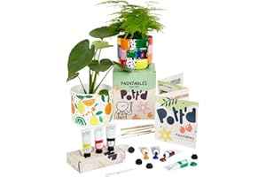 POTT'D Pott’d Paintables Paint-a-Plant Pot Kit, DIY Pottery Painting Kit for Adults with Plant Pots, Acrylic Paints, Brushes, Pencil and Guide, Craft Kit for Adults, Home Décor