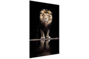 Tulup Impression sur Verre de 50x100 cm Image Tableau Photo décorative panoramique pour la Cuisine et Le Salon - Animaux - Portrait d'un Lion - Noir