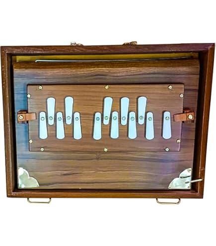 Shruti Box SHREYAS Shruti Box - Caja grande de 13 x 12 x 3 pulgadas