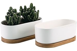 T4U 17CM Nowoczesny Owalny Projekt Ceramiczne Doniczki na Sukulenty Kaktusy ze Spodkiem Biały Zestaw 2 Szt.