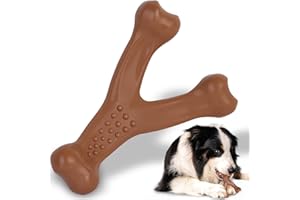 BAILEY & BUDDIES Bailey&buddies Dog Toys, Indestructible Dog Chew Toys for Aggressive Chewers, Durable Tough Interactive Nylon Outdoor Extreme Teething Bone Chew Toys for Medium Large Dogs