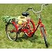 Produktbild ZNL FANO-TEC Dreirad Für Erwachsene Lastenfahrrad Erwachsenendreirad 24" 6-Gang-Schaltung Shimano Seniorenrad FT-7009 Rot