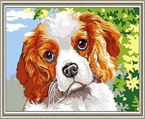 GMMH Diamond Painting Set Bild 14 x 18 Diamant Malerei Stickerei Handarbeit Basteln Mosaik Steine Hund