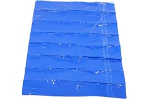 Healeved Cleanroom Sticky Mats - 30 Sheets Blue Sticky Floor Mats, Effective Dirt Removal | Contamination Control, for Cleanroom, Warehouse, Laboratory 90x60cm
