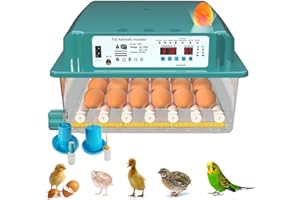 UMISU Couveuse Oeuf Automatique pour 36 Œufs avec Surveillance de l'Humidité Température Retournement Automatique des Œufs Numérique Incubateur Oeuf