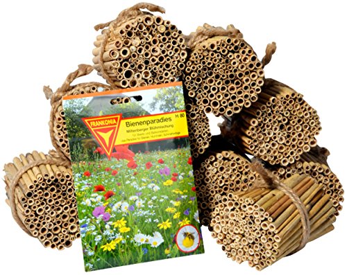 Luxus-Insektenhotels 22690e Schilfrohrhalme Set plus Samenmischung „Bienenparadies“, 35 Sorten, circa 1000 Stück, 9 cm lang - 2