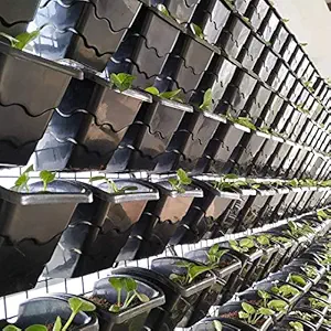 Green Gardenia Vertical Garden Wall Hanging Pot-Large - 24 Pieces